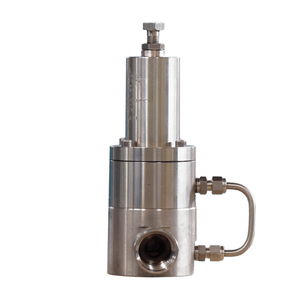 Cryogenic Safety Relief Valve - Image 2